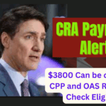 $250 Working Canadians Rebate April 2025 When $250 Rebate is coming for you